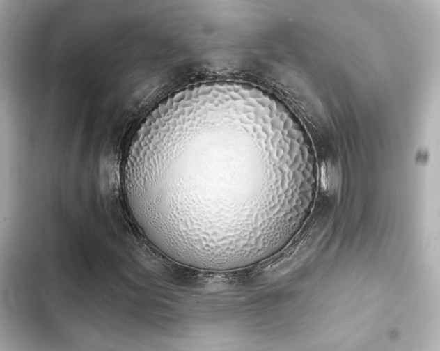 X0000103931155200809191343