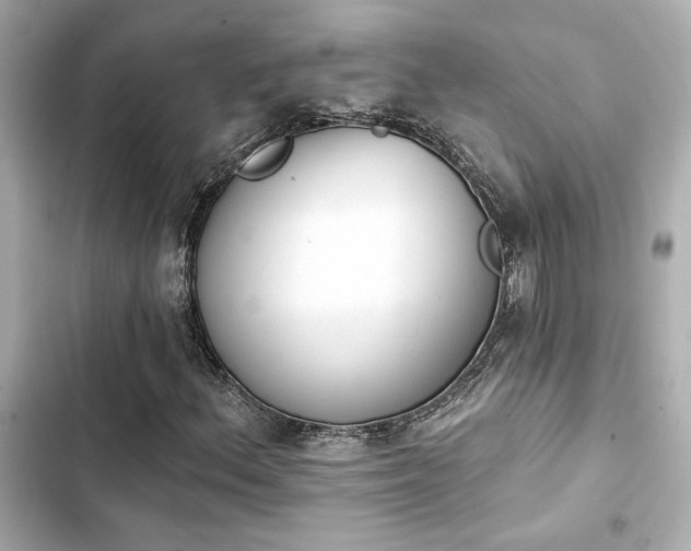 X0000103931156200809191343