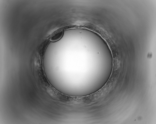 X0000103931158200809191343