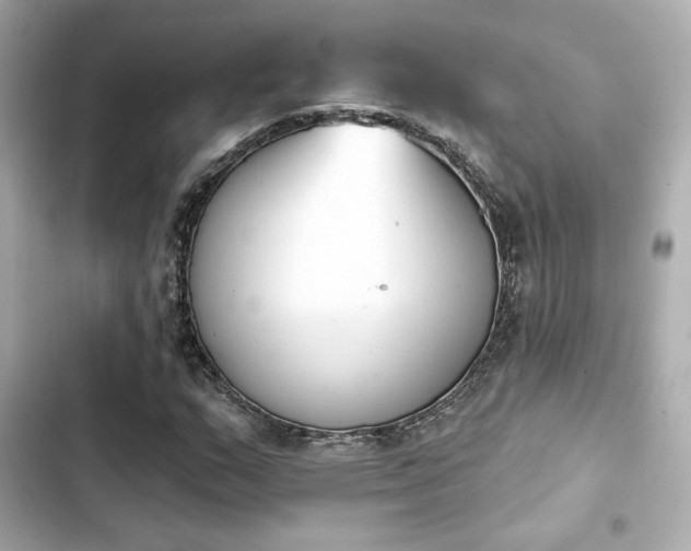 X0000103931159200809191343