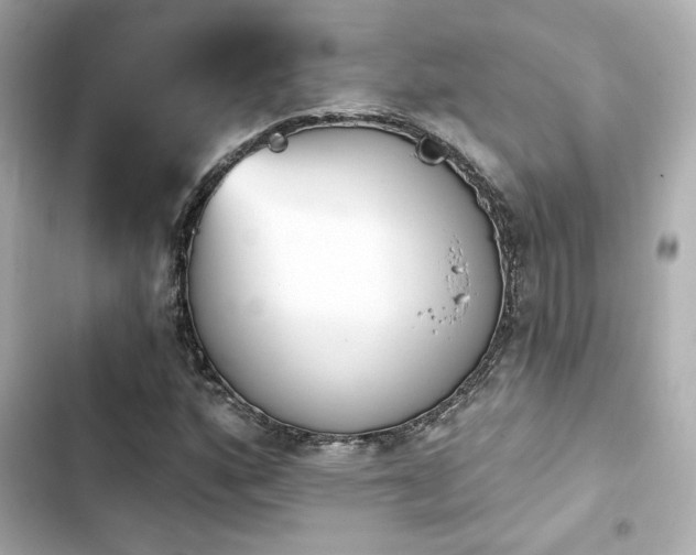 X0000103931160200809191343