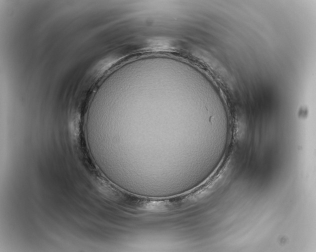 X0000103931161200809191343