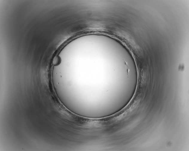 X0000103931162200809191343