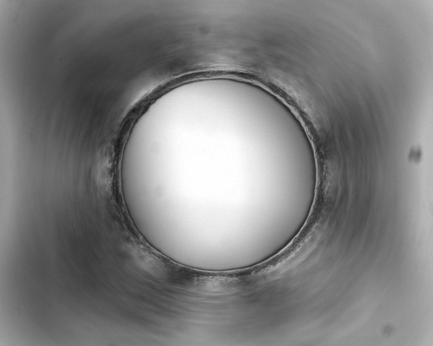 X0000103931163200809191343