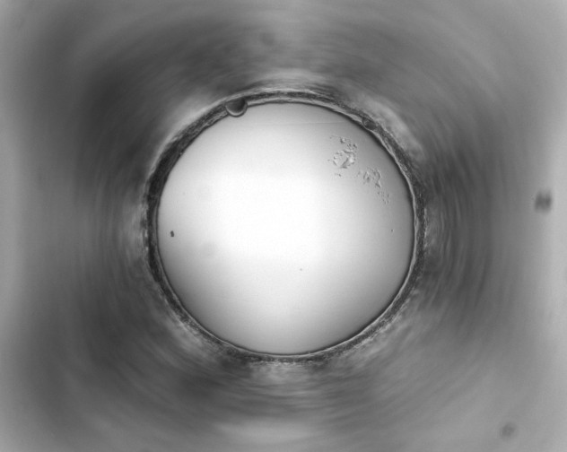 X0000103931164200809191343