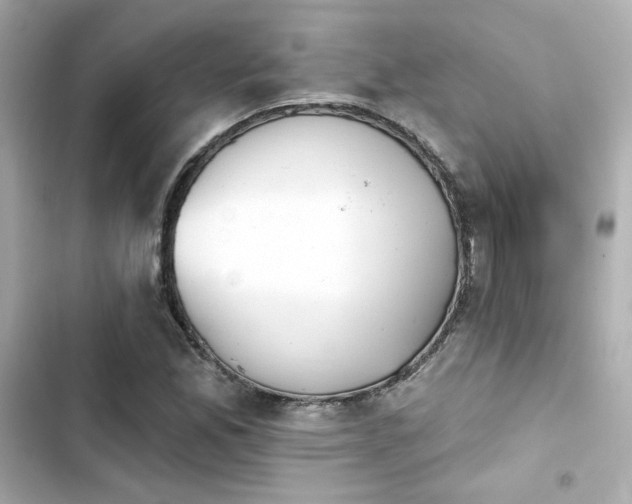 X0000103931165200809191343