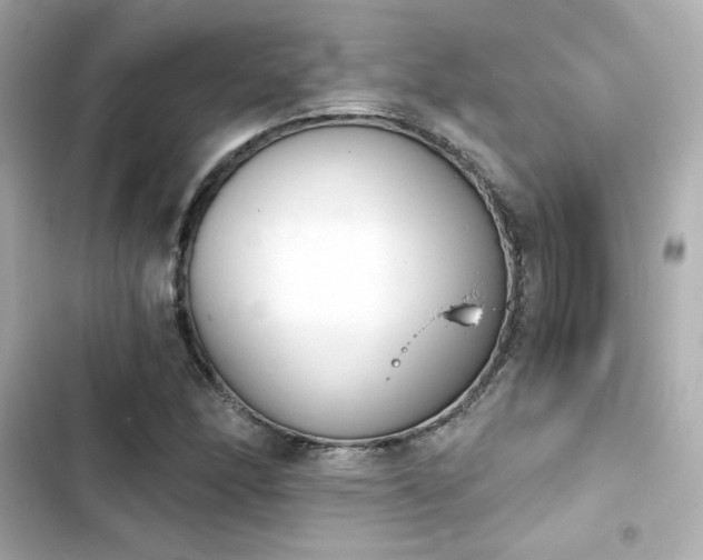 X0000103931166200809191343