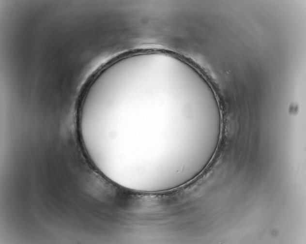 X0000103931167200809191343