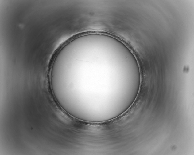 X0000103931168200809191343