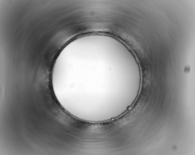 X0000103931169200809191343