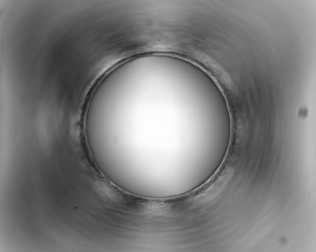 X0000103931170200809191343