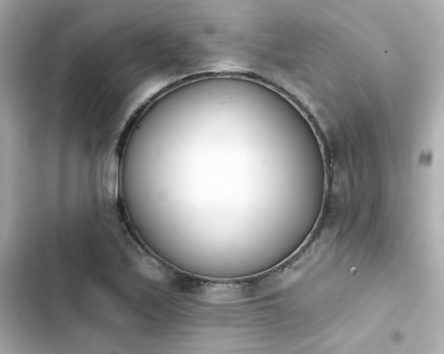 X0000103931171200809191343