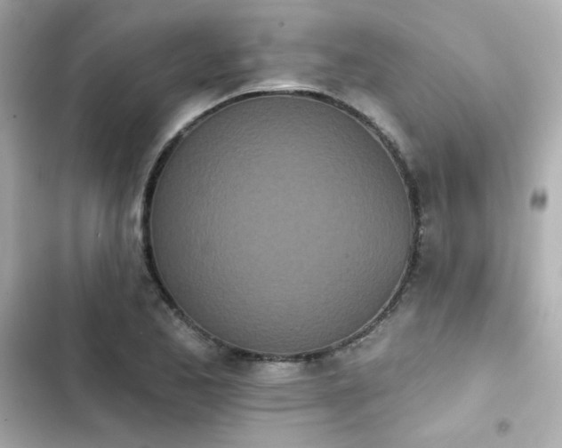 X0000103931173200809191343