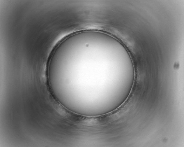 X0000103931174200809191343