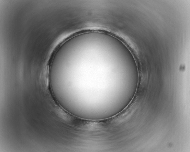 X0000103931175200809191343