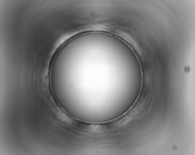X0000103931176200809191343