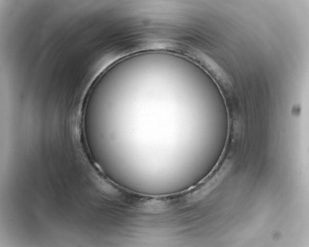 X0000103931178200809191343