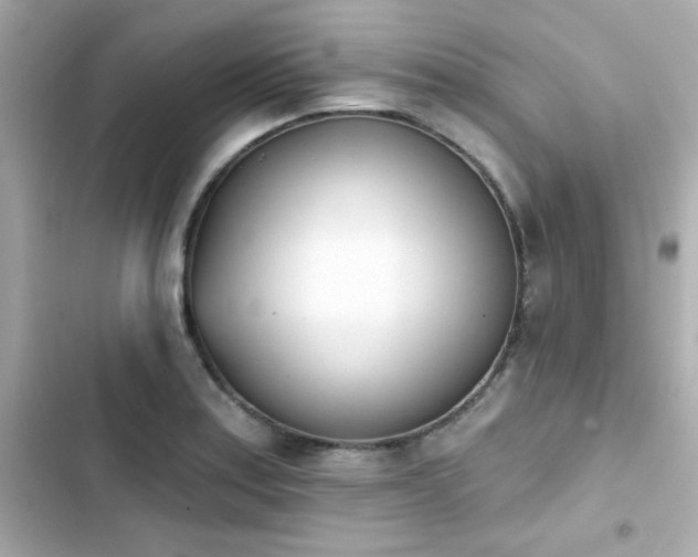X0000103931179200809191343