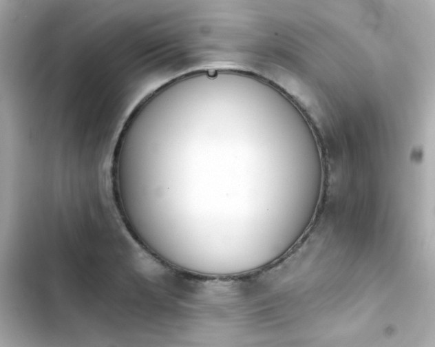 X0000103931181200809191343