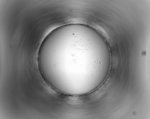 X0000103931182200809191343
