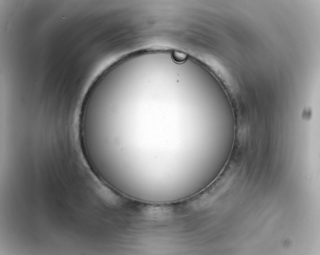 X0000103931183200809191343