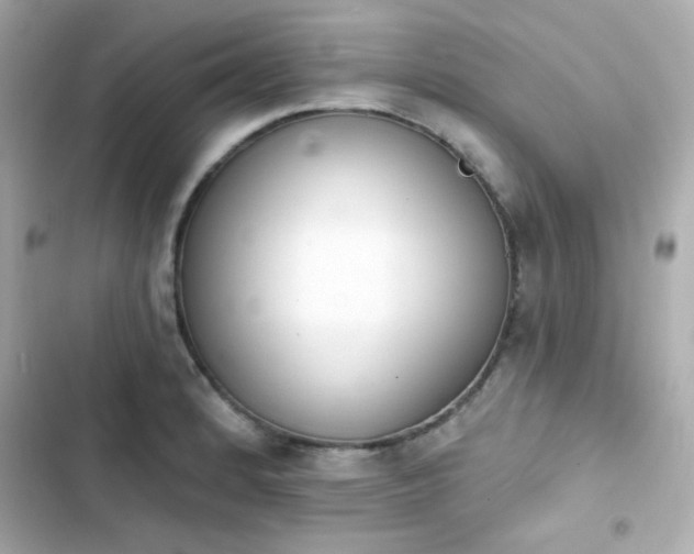 X0000103931184200809191343