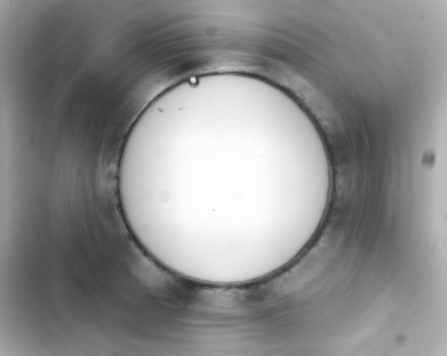 X0000103931185200809191343