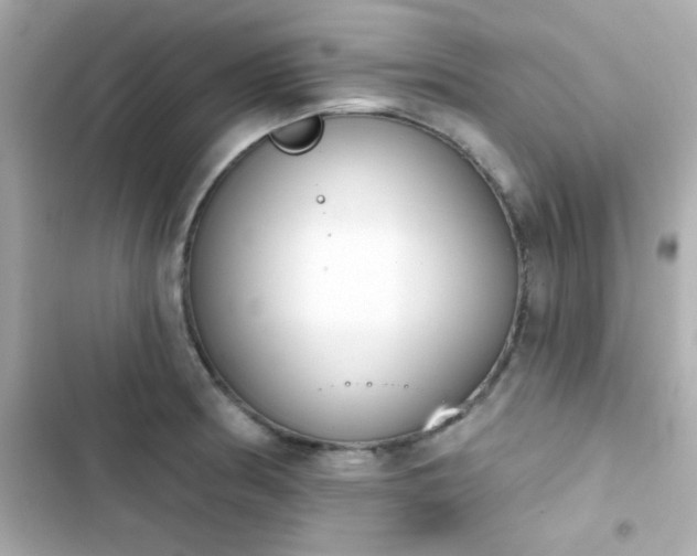 X0000103931186200809191343