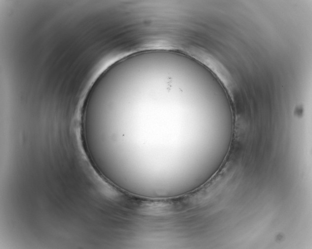 X0000103931187200809191343