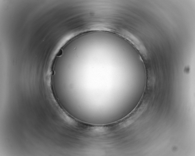 X0000103931188200809191342