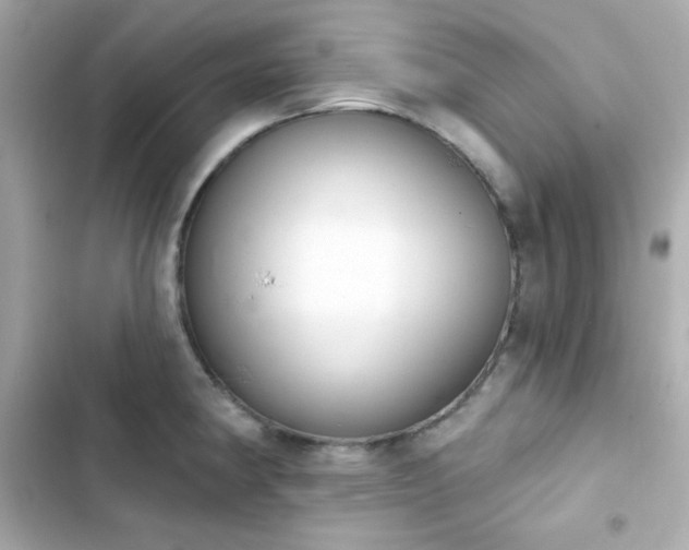 X0000103931190200809191342