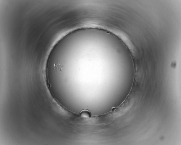 X0000103931191200809191342