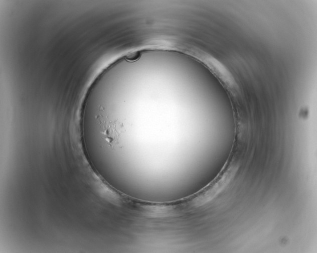 X0000103931192200809191342