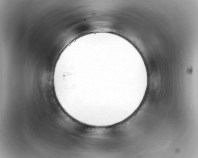X0000103931193200809191342