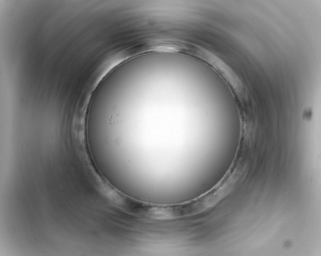 X0000103931194200809191342