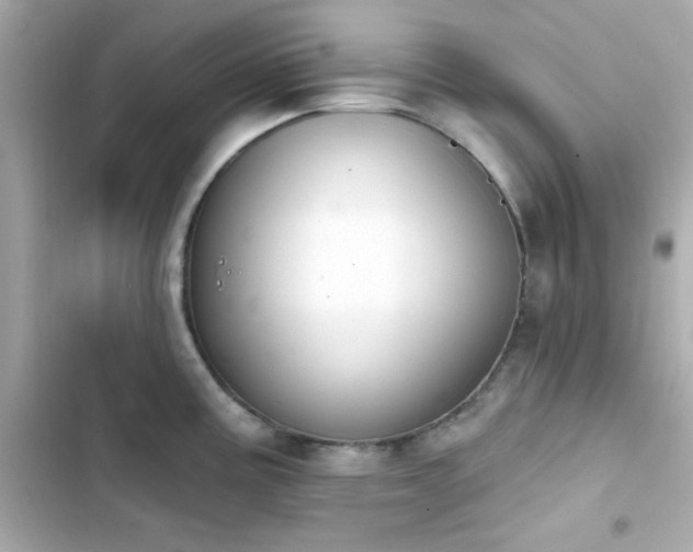 X0000103931195200809191342