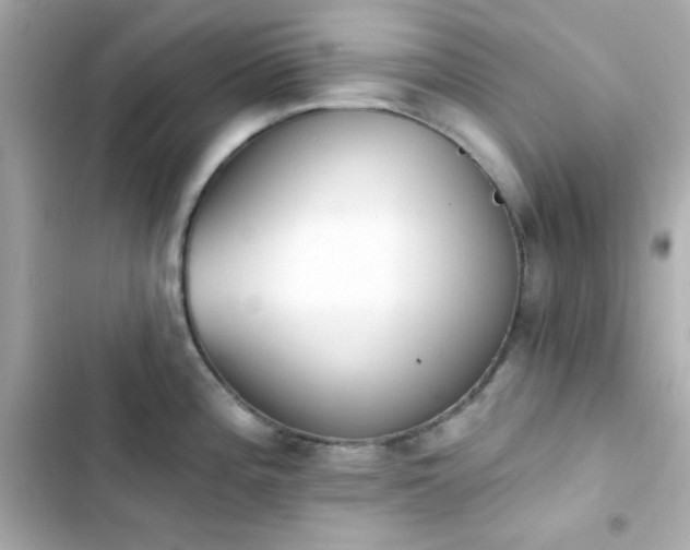 X0000103931196200809191342