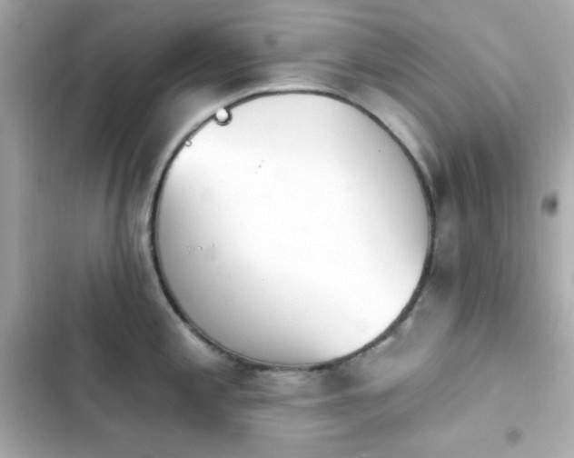 X0000103931197200809191342