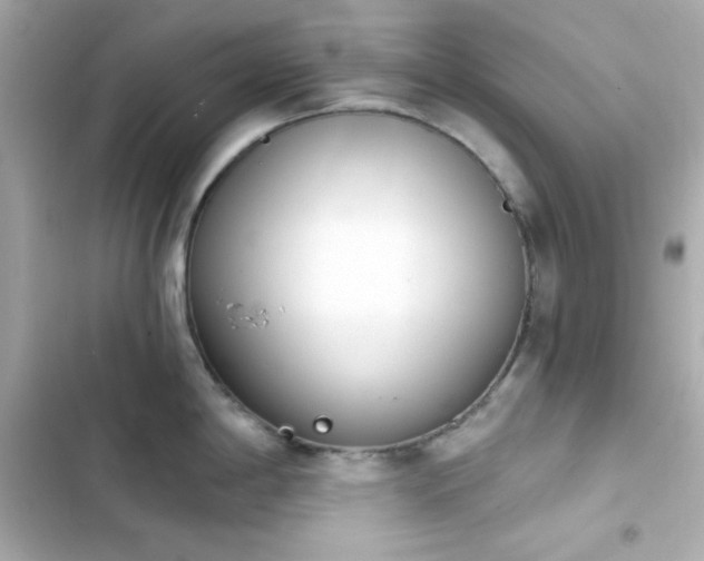 X0000103931198200809191342