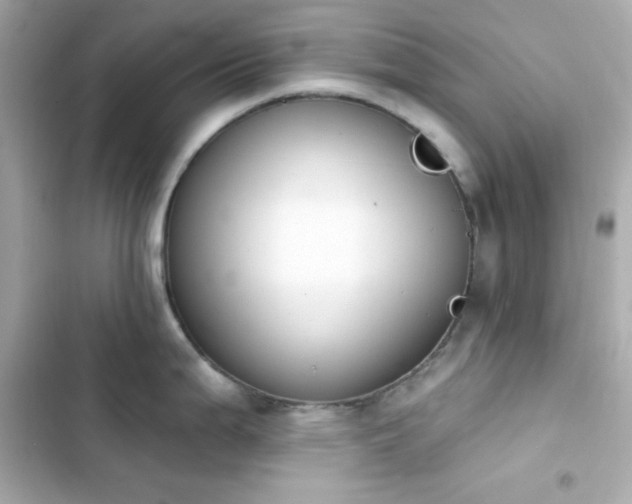 X0000103931199200809191342