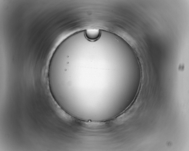 X0000103931200200809191342