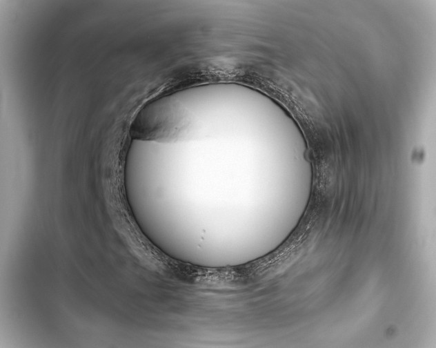 X0000103931201200809191342