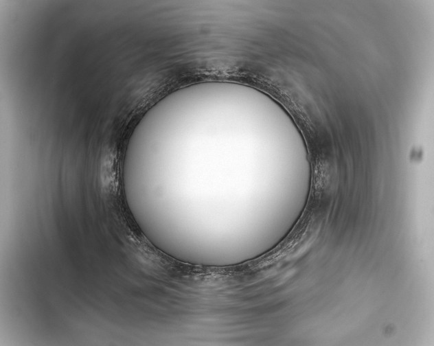 X0000103931202200809191342