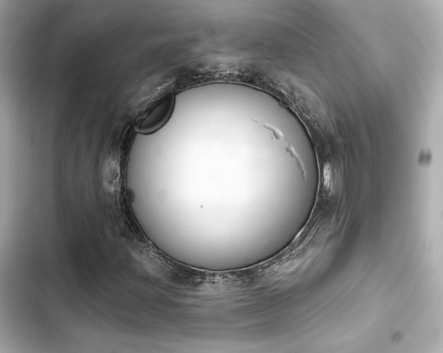 X0000103931203200809191342