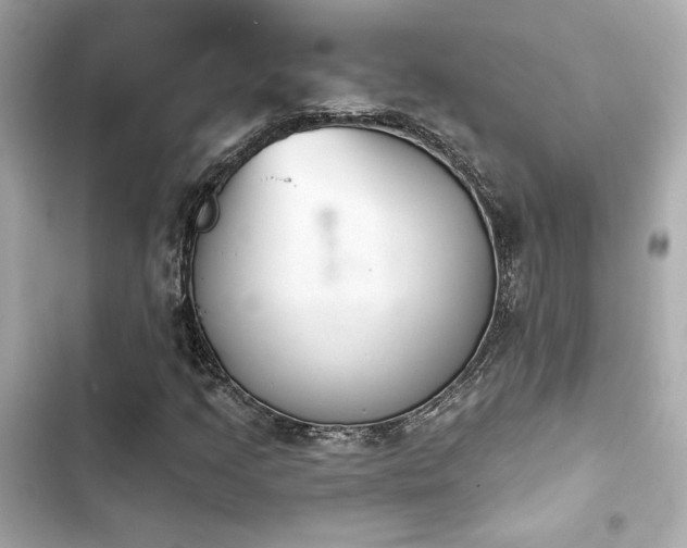 X0000103931205200809191342