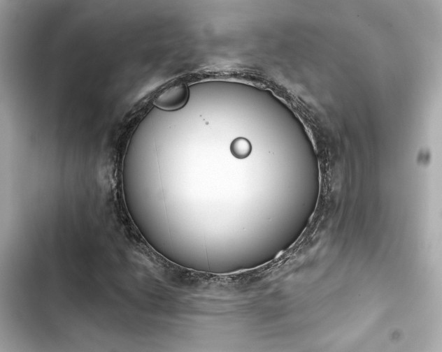 X0000103931206200809191342