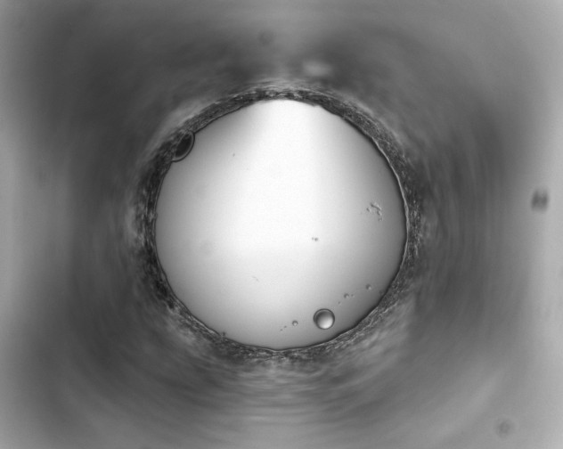 X0000103931207200809191342