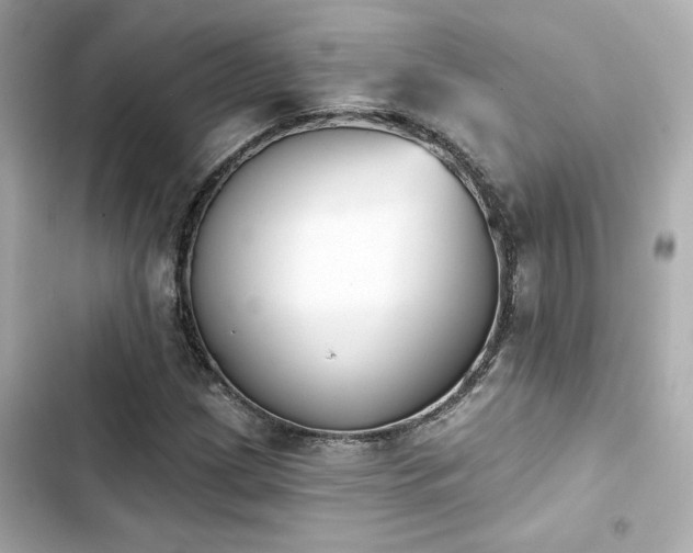 X0000103931209200809191342
