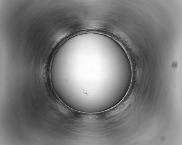 X0000103931210200809191342