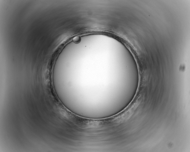 X0000103931211200809191342